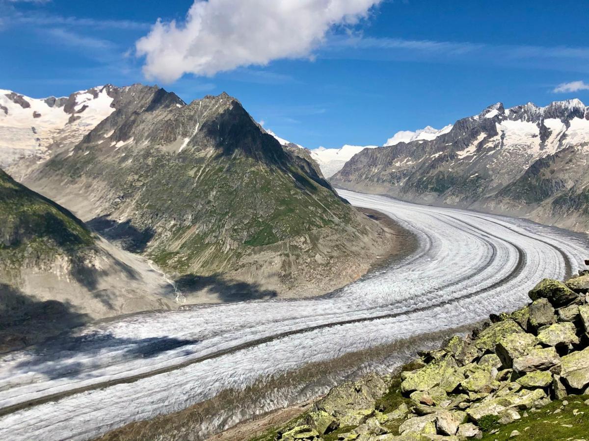 Perle Des Alpes, Bettmeralp, Switzerland Dış mekan fotoğraf