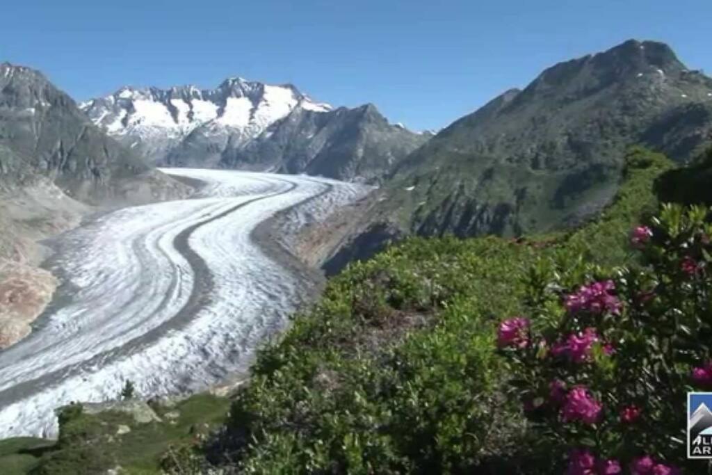 Perle Des Alpes, Bettmeralp, Switzerland Dış mekan fotoğraf